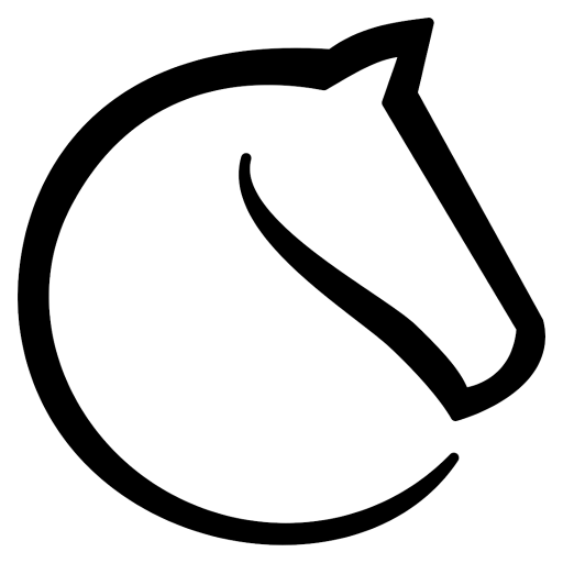 lichess.org favicon